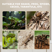 Acrylic Reptile Terrarium With Sliding Top Ventilated Lid for Snake or Gecko Clear AOSOM