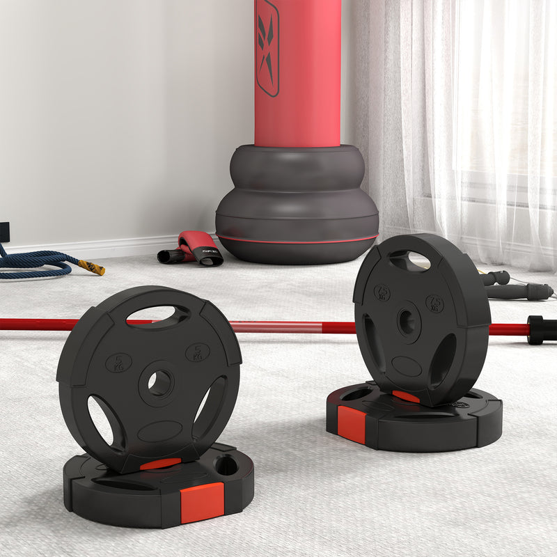 Weight Plates Set with 7.5kg and 5kg Cast Iron Discs for Home Gym Training Black AOSOM