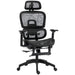 Black Ergonomic Mesh Swivel Office Chair for Home and Office by HOMCOM