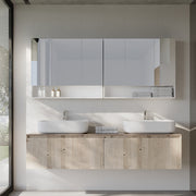 Wall Mounted Bathroom Mirror Cabinet with Storage Shelves and Door by Vasagle