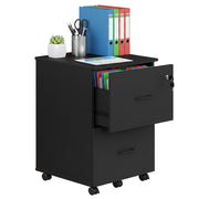Mobile 2-Drawer Filing Cabinet and Printer Stand with Lock by Vasagle VASAGLE