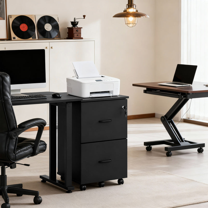 Mobile 2-Drawer Filing Cabinet and Printer Stand with Lock by Vasagle VASAGLE