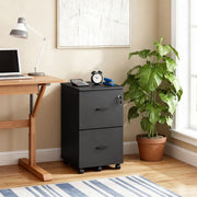 Mobile 2-Drawer Filing Cabinet and Printer Stand with Lock by Vasagle VASAGLE