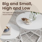 Small Round Coffee Table Set of 2 with Sturdy Steel Frame for Living Room by Vasagle