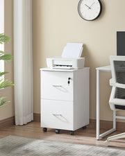 2 Drawer Locking Filing Cabinet for Home Office Organisation and Storage by Vasagle