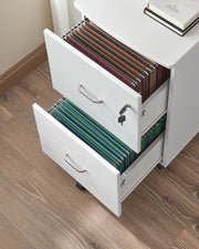2 Drawer Locking Filing Cabinet for Home Office Organisation and Storage by Vasagle