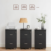 Black 2 Drawer Locking File Cabinet for Home Office Organisation and Storage by Vasagle