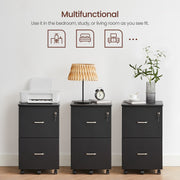 Black 2 Drawer Locking File Cabinet for Home Office Organisation and Storage by Vasagle