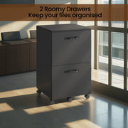 Rolling File Cabinet with 2 Drawers and A4 Hanging Rail for Home Office by Vasagle