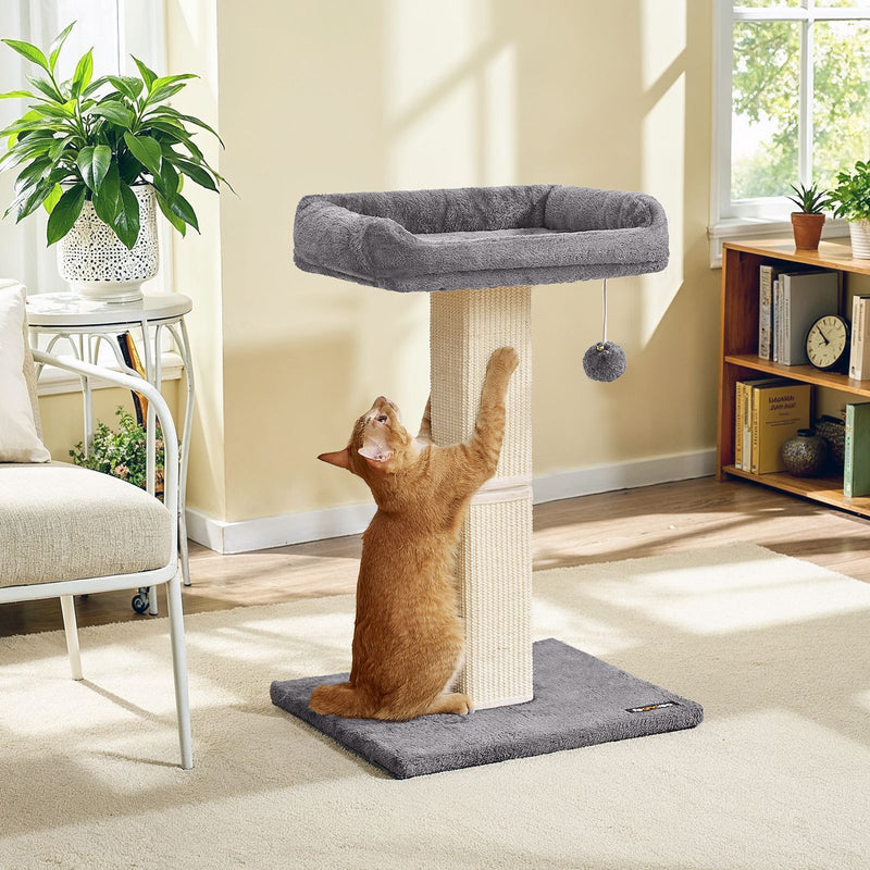 Light Grey Cat Scratching Post with Soft Plush Perch for Kittens and Cats by Feandrea