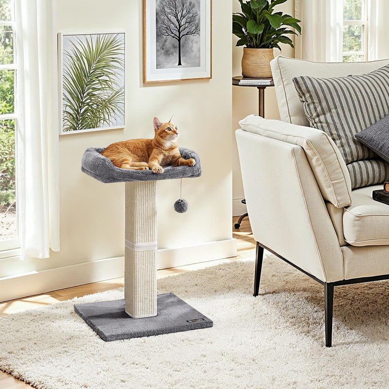 Light Grey Cat Scratching Post with Soft Plush Perch for Kittens and Cats by Feandrea