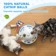 Automatic Interactive Cat Toy for Indoor Play and Exercise with Feathers and Butterfly Blue White Pawhut