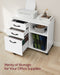 Image of a White Vasagle Storage Cabinet With File Drawer For Home Office