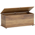 Grey 113L Storage Chest with Flip-Top Lid and Safety Hinges for Living Room or Hallway by HOMCOM