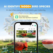 Smart Bird Feeder Camera with 2K HD Video and AI Species Recognition App Alerts Grey AOSOM
