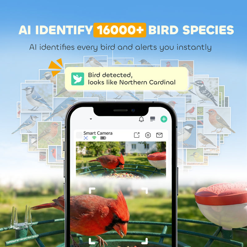 Smart Bird Feeder Camera with 2K HD Video and AI Species Recognition App Alerts Grey AOSOM
