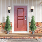 Set of 2 UV Resistant Artificial Cypress Trees with Pots for Indoor Outdoor Use, Green