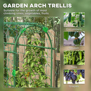 Tall Metal Garden Arch Trellis with Climbing Net Ideal for Outdoor Plants Support Black AOSOM