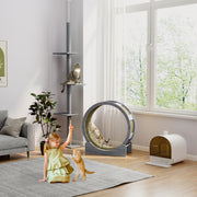 Grey Cat Exercise Wheel with Brake and Scratching Pads by PawHut