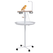 Bird Stand with Wheels and Feed Bowls for Indoor or Outdoor Use with Tray, White