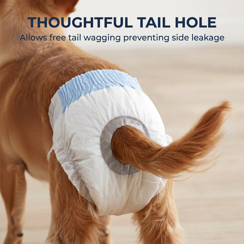 Disposable Dog Nappies for Extra Small Female Dogs Leakproof Home Protection White
