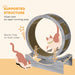 Grey Cat Exercise Wheel with Brake and Scratching Pads by PawHut