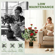 Artificial Camellia Plant for Lasting Indoor Colour with Realistic Red Blossoms Homcom