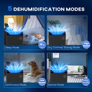 Portable Dehumidifier With Air Purifier and 5 Modes For Home and Laundry Use, Black