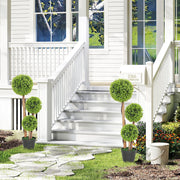 Artificial Boxwood Topiary Tree Set of 2 in Pots for Indoor and Outdoor Decor Green