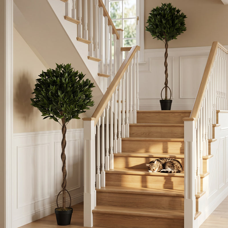 The 2 topiary bay trees placed in a hallway beside a wooden staircase
