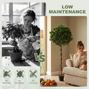 Low maintenance panel comparing tending a real plant with the artificial bay tree