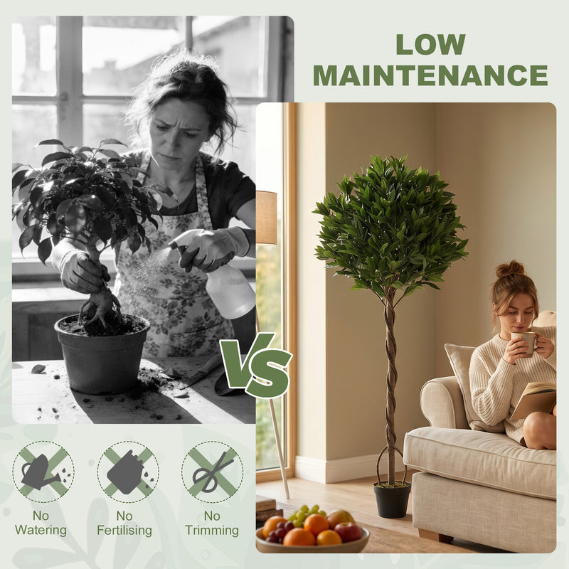 Low maintenance panel comparing tending a real plant with the artificial bay tree