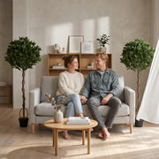 The pair of bay topiary trees either side of a sofa and shelving in a living room