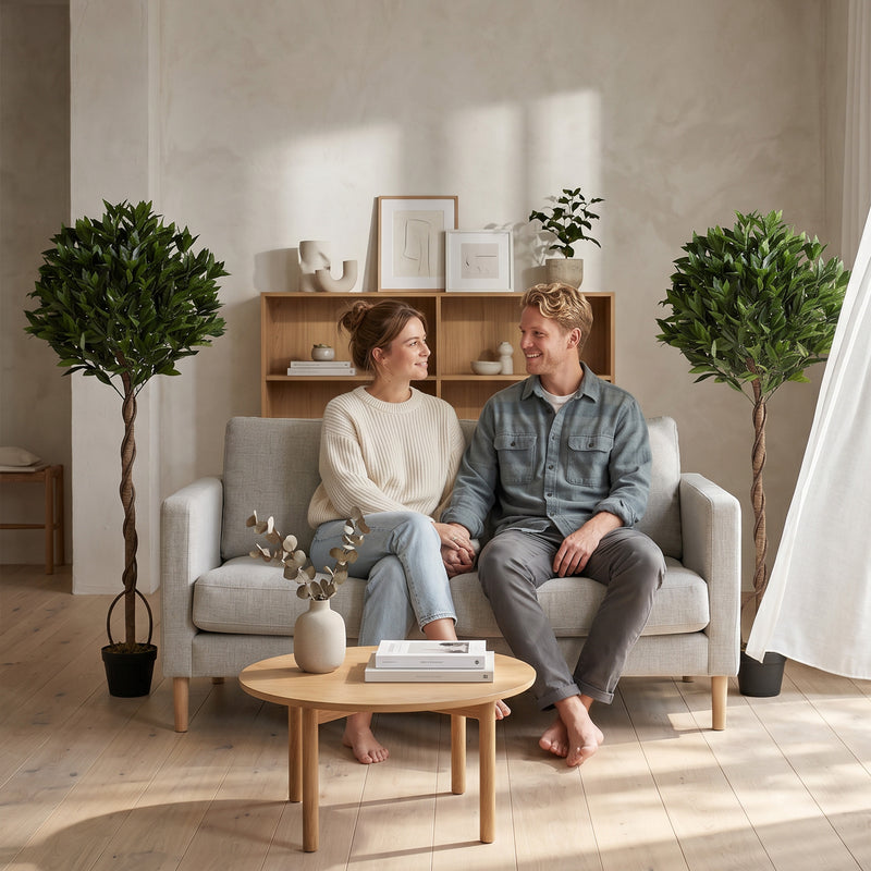 The pair of bay topiary trees either side of a sofa and shelving in a living room