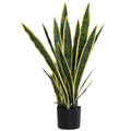 Artificial snake plant in a black pot on a white background