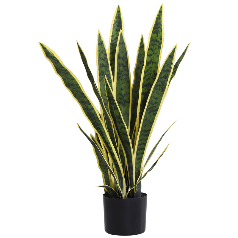 Artificial snake plant in a black pot on a white background