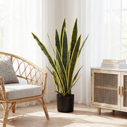 Artificial snake plant next to a rattan chair and cabinet