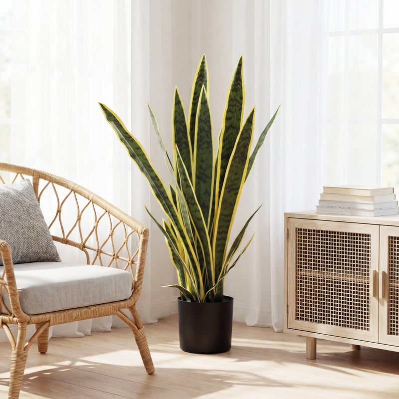 Artificial snake plant next to a rattan chair and cabinet