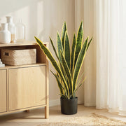 Artificial snake plant beside a wooden cabinet in a bright living room