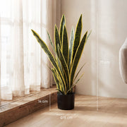 Dimensions diagram showing 77 cm height, 14 cm pot and 15 cm base diameter