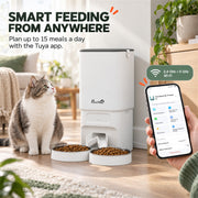 Smart feeding panel showing the cat feeder with a phone app and feeding schedule