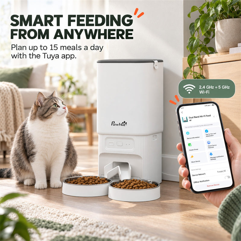 Smart feeding panel showing the cat feeder with a phone app and feeding schedule