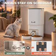 Meals on schedule panel showing adapter power with 4 AA battery backup and a cat beside the feeder
