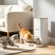 Two cats beside the automatic feeder in a living room