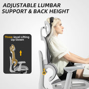 Ergonomic Mesh Office Chair With Adjustable Backrest And Lumbar Support, Grey and White