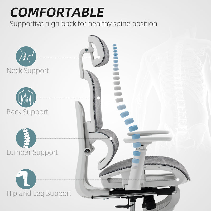 Ergonomic Mesh Office Chair With Adjustable Backrest And Lumbar Support, Grey and White