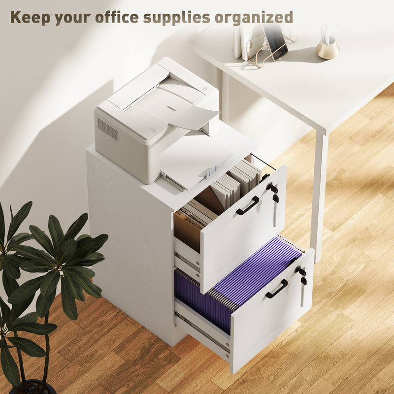 White 2 Drawer Lockable Filing Cabinet for Home Office Storage and Organisation Homcom