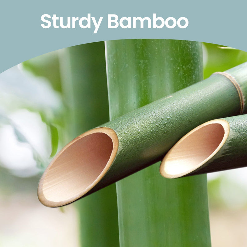 Close-up of cut green bamboo canes representing the shelf's bamboo construction
