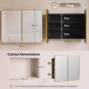 Dimensions diagram for the gold tone mirror cabinet with mirror size, shelf spacing and wall cutout size