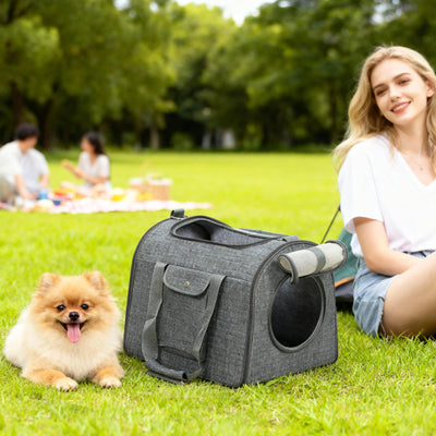 Foldable Cat Carrier Bag with Shoulder Strap and Removable Mat for Small Pets, Grey AOSOM
